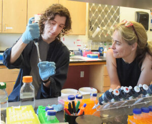 West Virginia University graduate receives National Science Foundation Graduate Research Fellowship